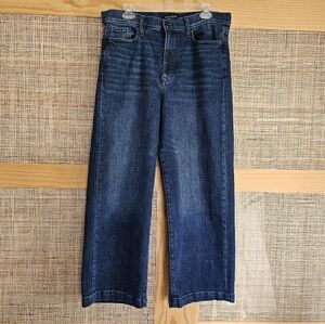 Banana Republic Wide Leg Crop Jeans 31Tall